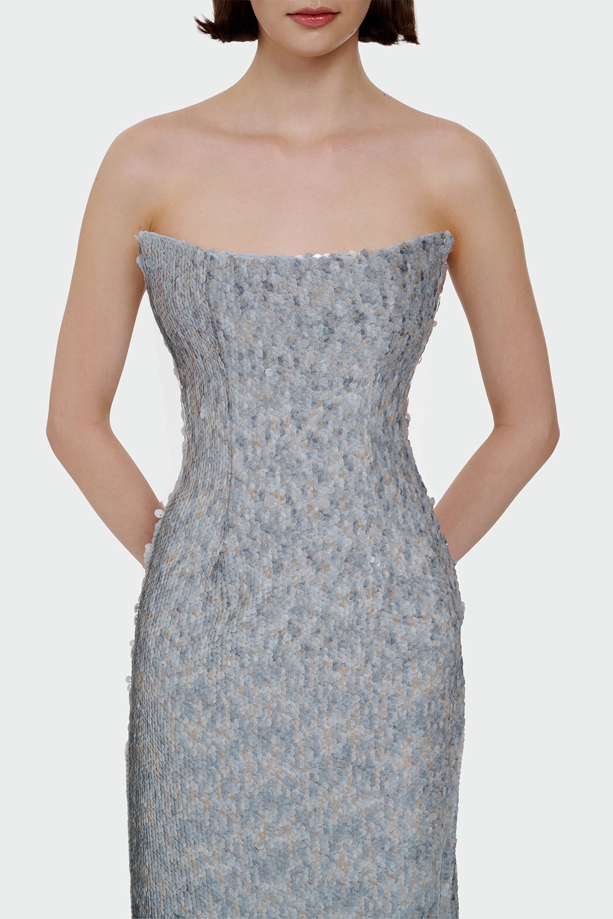 Sequin Embellished Strapless Evening Gown