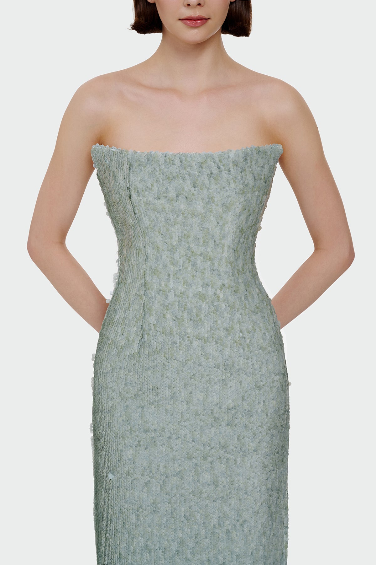 Sequin Embellished Strapless Evening Gown