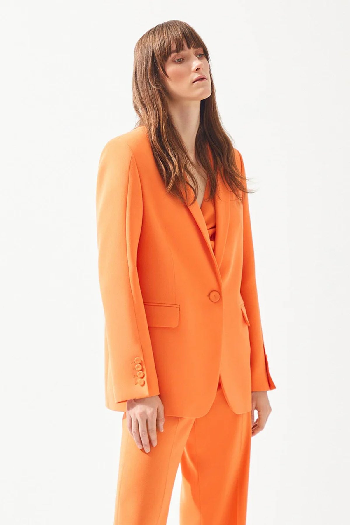 Tek Düğmeli Kadın Blazer Ceket Takım - Cercis